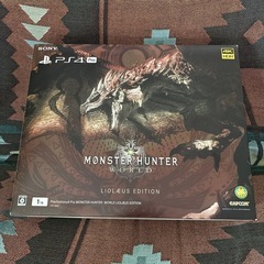 値引可！PS4 PRO SSD換装 LIOLAEUS EDITI...