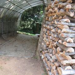 ケヤキ薪、未乾燥、高さ１５００*幅１１００*奥行３５０から４００ｍｍ,写真全部の画像