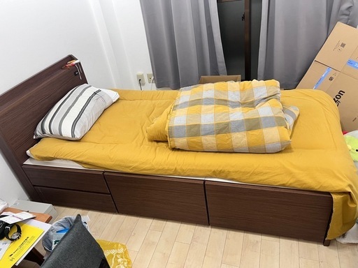 ニトリベット