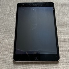 iPad