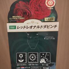 【取引中】バラ苗【レッドレオナルドダビンチ】の画像
