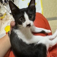 ねむちゃん♀