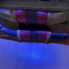 巨大な牛のツノ2本