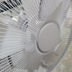 ヤマダセレクト　リビング扇風機　YFA-R82G2　中古　リサイクルショップ宮崎屋住吉店24.8.5Kの画像