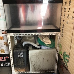 水槽