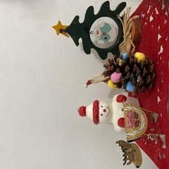 大王松まつぼっくり
