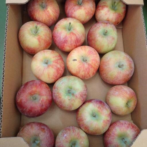 リンゴ長野県産　シナノリップ　サイズバラで　15玉　1500円です