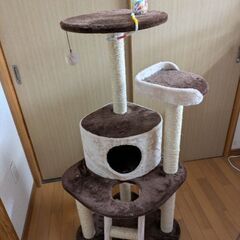 キャットタワー