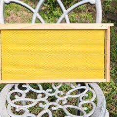 養蜂 巣礎枠新品20枚セット