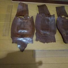 革
トカゲ
長期保存品
の画像