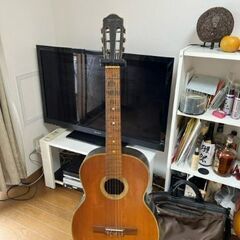 オール単板　希少性　DYNAMIC　GUITAR　YAMAHA　...