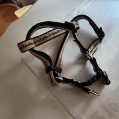 ハ－ネスの画像