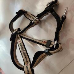 ハ－ネスの画像