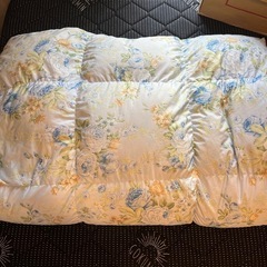 シングルの羽毛布団 ダウン85% おそらく西川  の画像