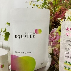 【格安】大塚製薬 エクエル パウチ 120粒 エクオール 大豆イ...