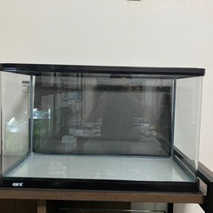 ＧＥＸ　ラピレスとLEDライトとヒーターのセット
 