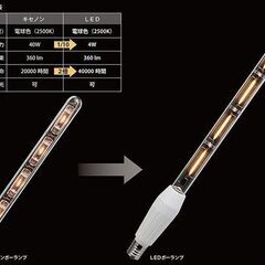 アイリスオーヤマ　LDT4-E17/D-C3 LEDボーランプ＜電球色＞E17口金の画像