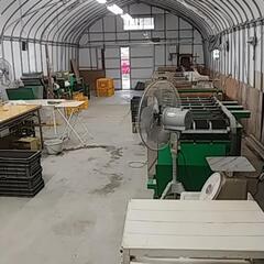 今年もやっぱり❗はねだしねぎお売りします‼️(*´▽｀)の画像