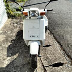 ジャイロアップ最終型50ccの画像