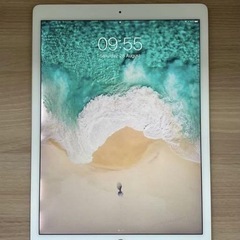 iPad Pro 12.9 (WIFI) 32GB
