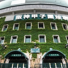高校野球に行きませんか😊