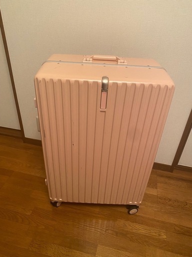 大きいサイズ キャリーケース