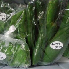 新鮮野菜コーナー8月6日の品出し予定です。