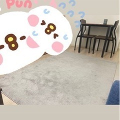 ラグ  カーペット ニトリ Nウィンザ