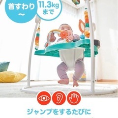 【美品】フィッシャープライス　ジャンパルー レインボーフォレストの画像