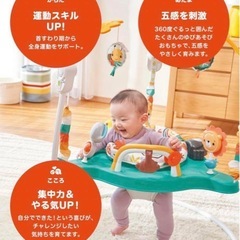 【美品】フィッシャープライス　ジャンパルー レインボーフォレストの画像