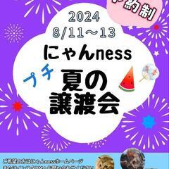 猫譲渡会