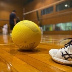 ソフトバレーのメンバー募集