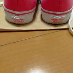 バンズ　Vans　スニーカー　23cmの画像
