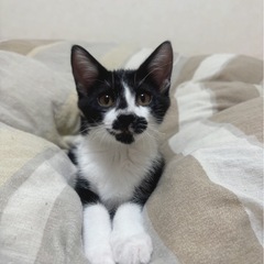 素敵なご家族と出会えました☆つくし君