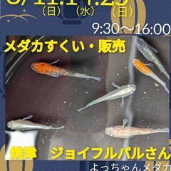 8/11・14・25　焼津ジョイフルパルさんにて　よっちゃんメダ...