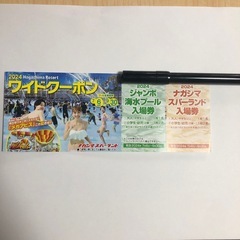 ナガシマジャンボ海水プール入場券