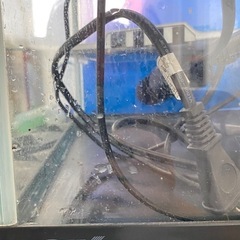 45センチ水槽セット