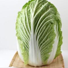 時給1100円！日払い可！