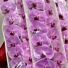 家具 インテリア雑貨/小物 置物、オブジェの画像