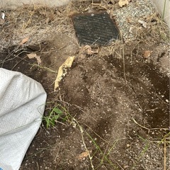 庭の土　土嚢袋入り　無料です。