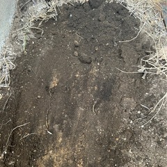 庭の土　土嚢袋入り　無料です。の画像