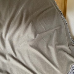 【商談中】無印良品　体にフィットするソファ　ビーズ　クッションの画像