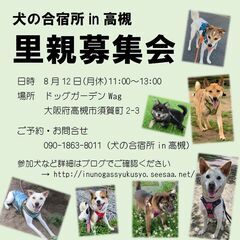 高槻市内で「犬の合宿所in高槻」の保護犬達の里親募集会を行います。