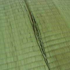 クッション性のある 夏の敷物 ござ （88㎝×175㎝）お譲りします。＊石川県＊美川より＊期間限定の画像