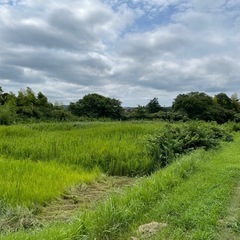 土地売却 - 君津市