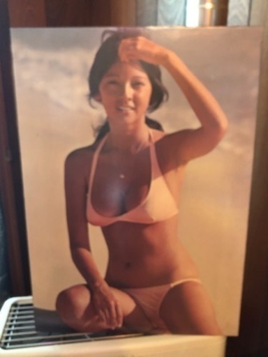 アグネスラム特大ポスターパネル　おもちゃ フィギュア