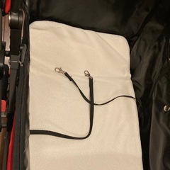 決まりました　ペットカート　　ペットキャリアカーの画像