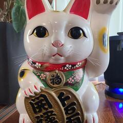 特大　招き猫　左手上げ　置物　常滑焼