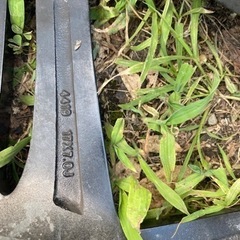 🉐期間限定値下🉐17inchダンロップアルミ＆ピレリタイヤの画像