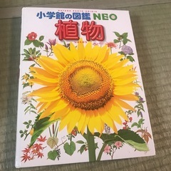 小学館の図鑑　NEO　植物